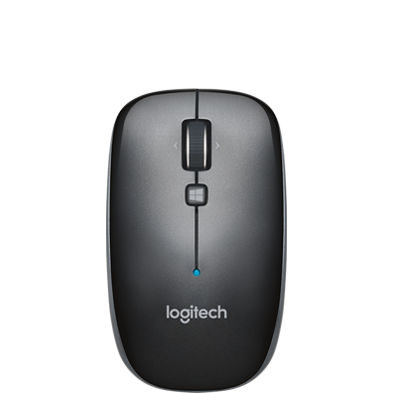 computer in mouse