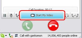 Skype startVideo
