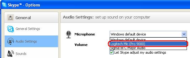 Skype mic